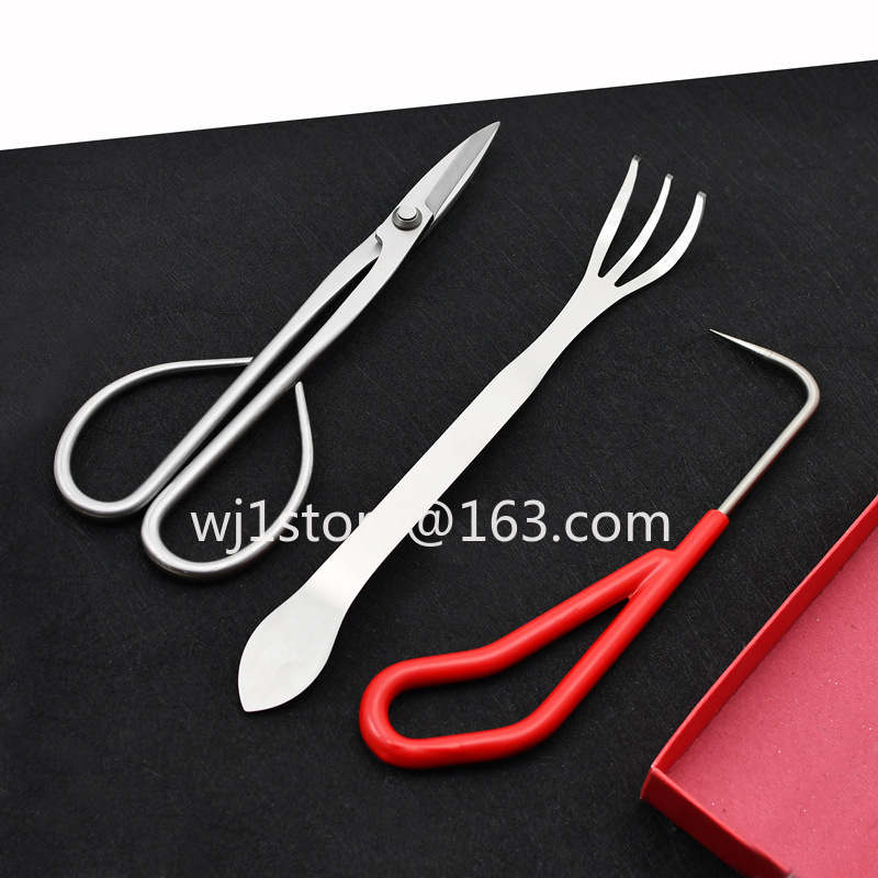 Ciseaux à bonsaï en acier inox - Root Hook Tool avis et prix