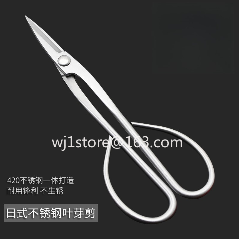 Ciseaux à bonsaï en acier inox - Root Hook Tool avis et prix
