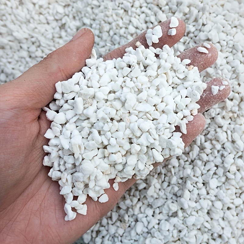 1 paquet de perlite horticole  - Horticulture Soil Perlite avis et prix
