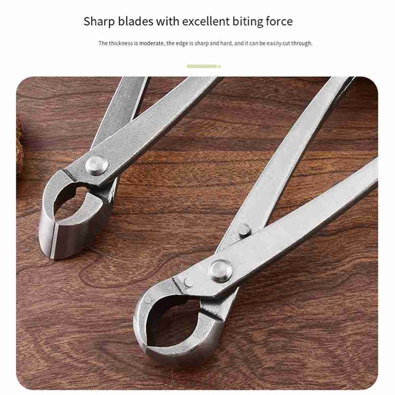 ABAE - Outils pour Bonsaï, Ens - Root Hook Tool avis et prix