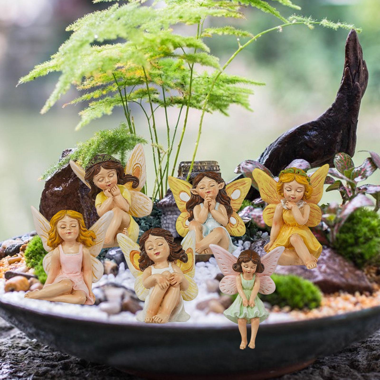 6 pièces d'accessoires de jard - Bonsai Garden Backyard avis et prix